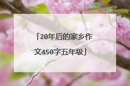 20年后的家乡作文450字五年级