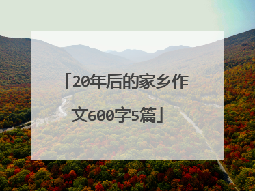20年后的家乡作文600字5篇