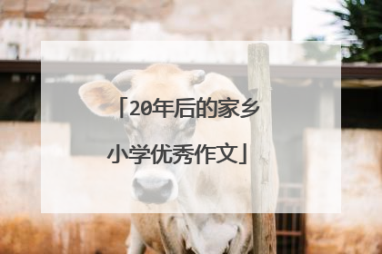 20年后的家乡小学优秀作文