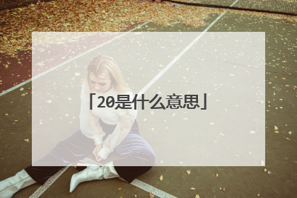 20是什么意思