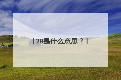 20是什么意思？