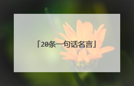 20条一句话名言