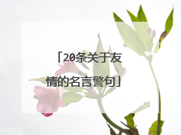 20条关于友情的名言警句