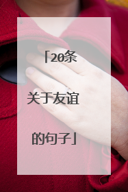 20条关于友谊的句子