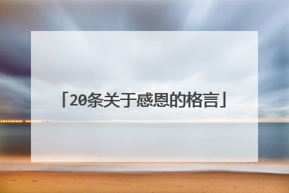 20条关于感恩的格言