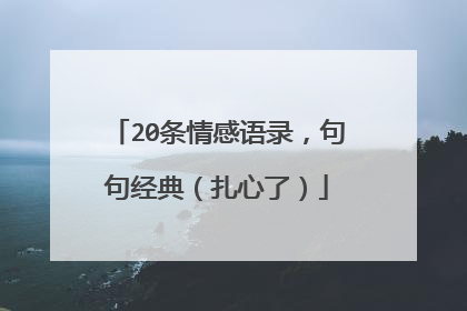 20条情感语录,句句经典(扎心了)