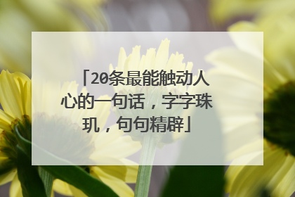 20条最能触动人心的一句话,字字珠玑,句句精辟