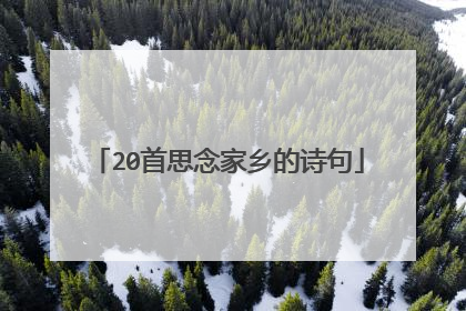 20首思念家乡的诗句