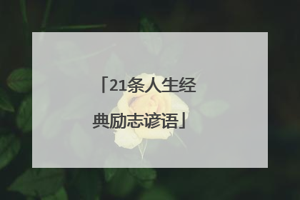 21条人生经典励志谚语