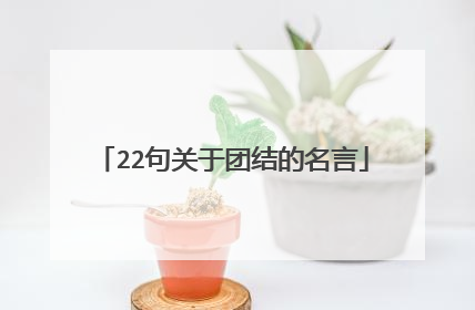22句关于团结的名言