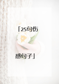 25句伤感句子