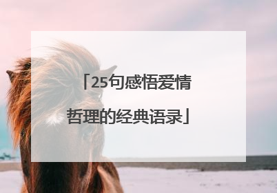 25句感悟爱情哲理的经典语录