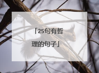25句有哲理的句子