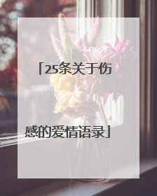 25条关于伤感的爱情语录