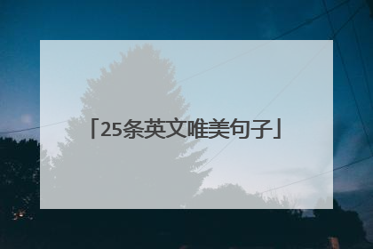 25条英文唯美句子