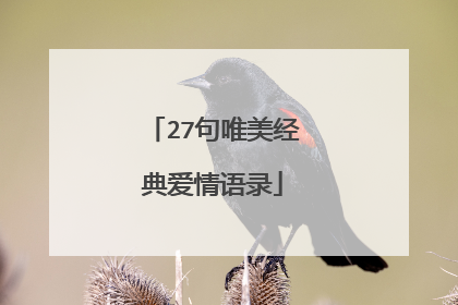 27句唯美经典爱情语录