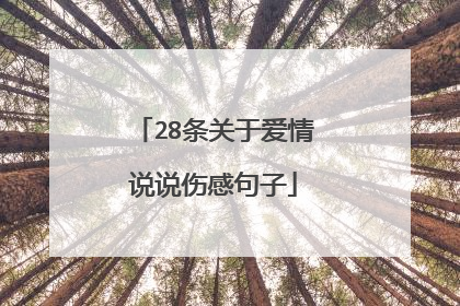 28条关于爱情说说伤感句子
