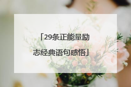 29条正能量励志经典语句感悟