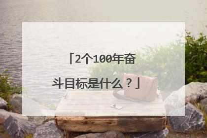 2个100年奋斗目标是什么?