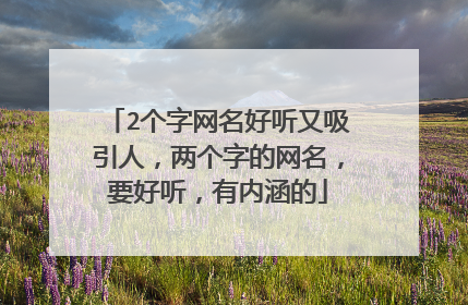 2个字网名好听又吸引人,两个字的网名,要好听,有内涵的