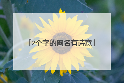 2个字的网名有诗意