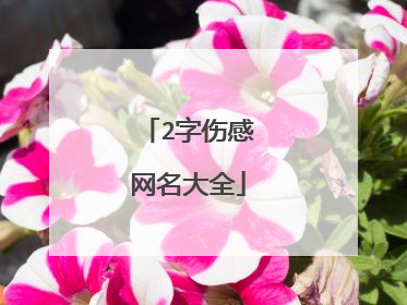 2字伤感网名大全