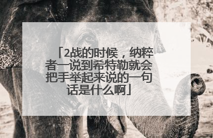 2战的时候,纳粹者一说到希特勒就会把手举起来说的一句话是什么啊