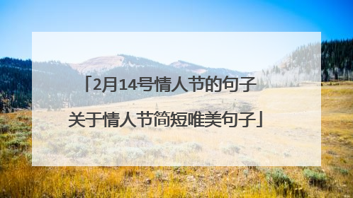 2月14号情人节的句子 关于情人节简短唯美句子