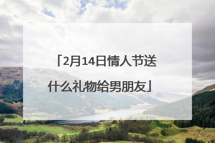 2月14日情人节送什么礼物给男朋友