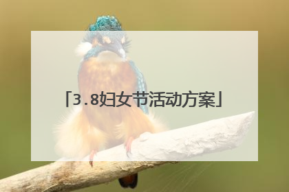 3.8妇女节活动方案