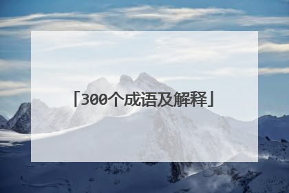 300个成语及解释