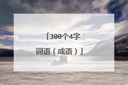300个4字词语(成语)