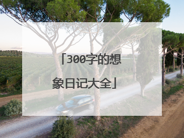 300字的想象日记大全
