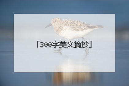 300字美文摘抄
