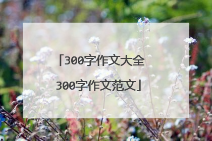 300字作文大全 300字作文范文