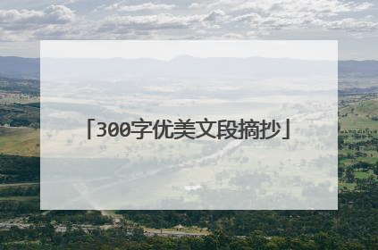 300字优美文段摘抄