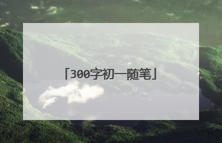 300字初一随笔