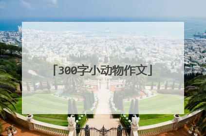 300字小动物作文