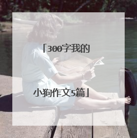 300字我的小狗作文5篇