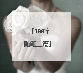 300字随笔三篇