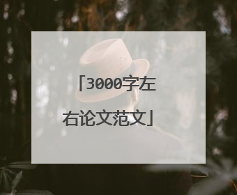 3000字左右论文范文