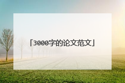 3000字的论文范文