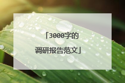 3000字的调研报告范文