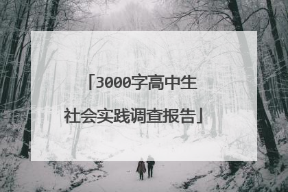 3000字高中生社会实践调查报告