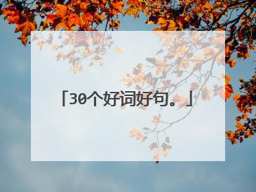 30个好词好句。