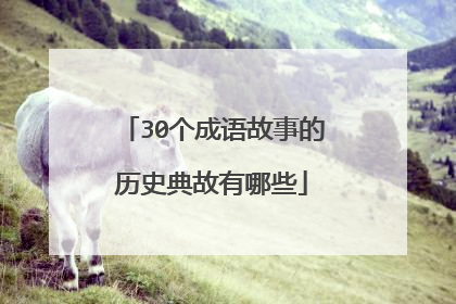 30个成语故事的历史典故有哪些
