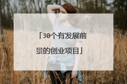 30个有发展前景的创业项目