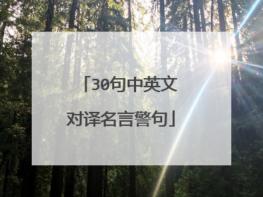30句中英文对译名言警句