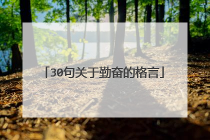 30句关于勤奋的格言