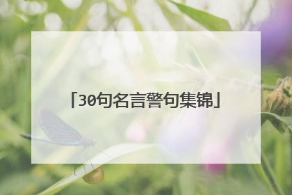 30句名言警句集锦